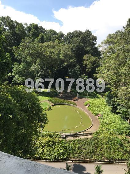 Pearl Bank Apartment (Enbloc) (D3), Apartment #144849772